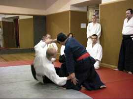 Aiki nage