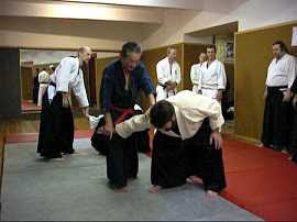 Chiken 1