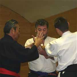 Te kagami 2