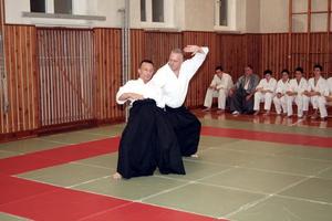 Traditionelle japanische Kampfkunst