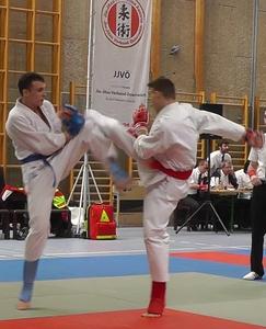 Wiener Jiu Jitsu Landesmeisterschaft 2013